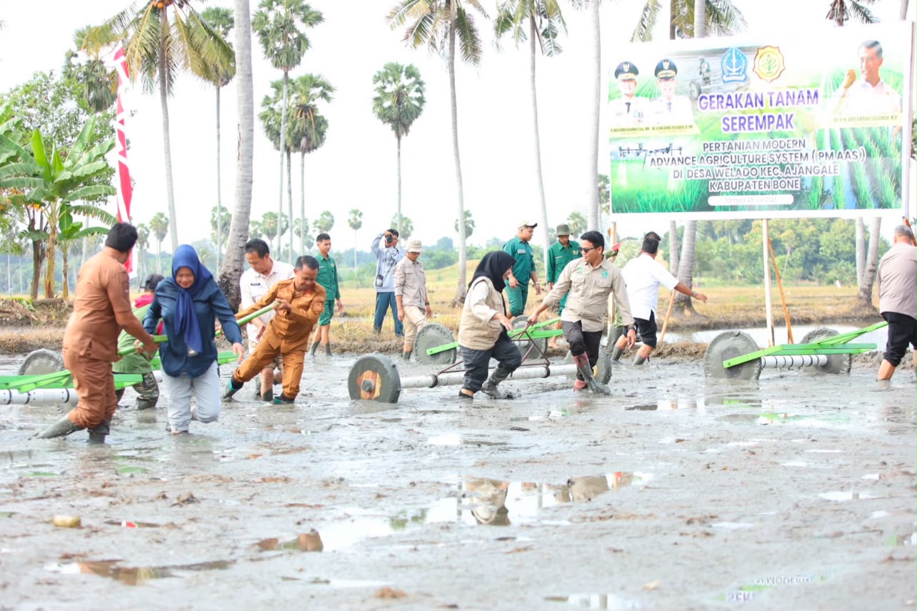 Dari Sawah Welado, Bupati Bone Pacu Revolusi Pertanian Modern untuk Pertahankan Status Lumbung Pangan