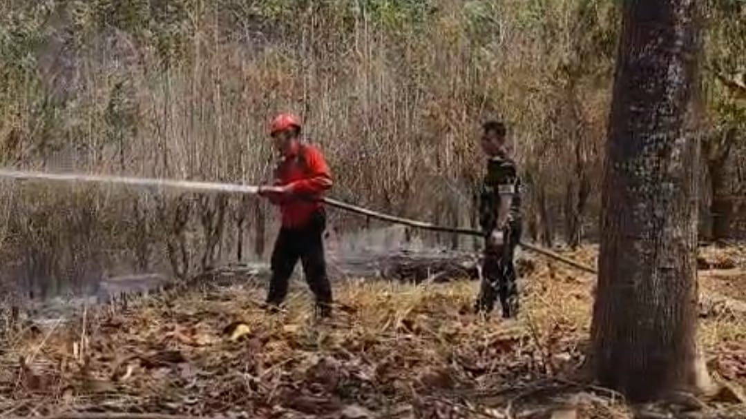 Laporan Cepat Warga Cegah Kebakaran Meluas, 1 Hektar Lahan di Pattallassang Berhasil Diselamatkan