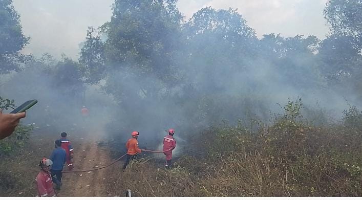 Babinsa Pimpin Gerak Cepat, Karhutla 1 Hektare di Bontomarannu Berhasil Dijinakkan