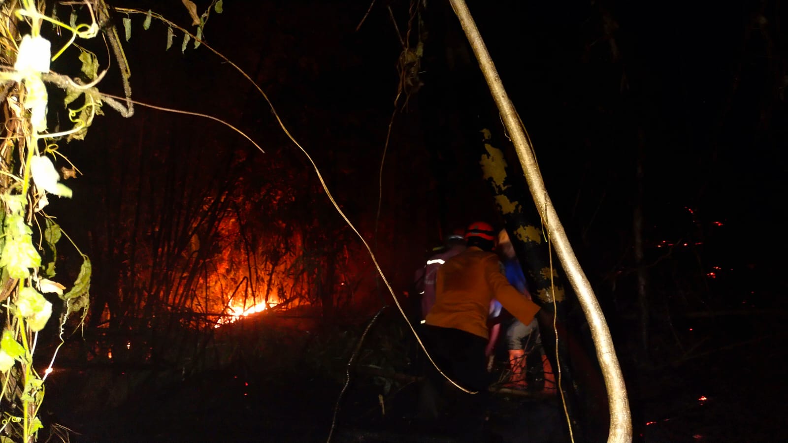 Karhutla 5 Hektare Mengamuk Malam Hari di Pattallassang, Warga dan Petugas Cegah Api Dekati Permukiman